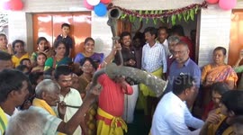 Devotees smash coconuts on their heads during festival held in southern India