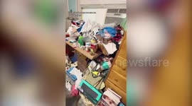 Woman quit $28k corporate job and now makes $100k a year clearing clutter in strangers' houses