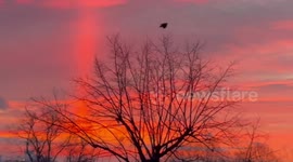 Light beam or plane trail? Strange phenomenon filmed in London on Friday