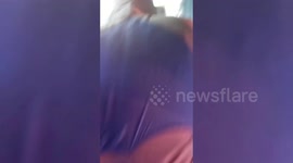 Couple survive dive-bomb stinging attack by thousands of wild bees 'forced from forest by fires'