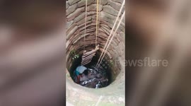 Rescue team pull 2 bulls out of well in central India
