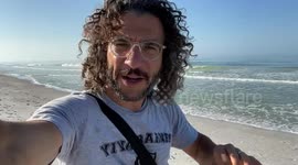 Man walks along Florida beach 'littered' with fish carcasses as red tide strikes