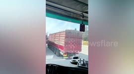 Driver honks to scare away hundreds of sparrows eating grain loaded on truck