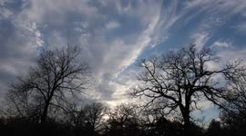 Time-Lapse of fast moving clouds over the trees as it transitions from day to night.