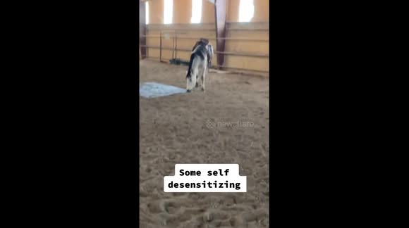 temp