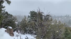 Biggest snow storm in decades hits Big Bear, California