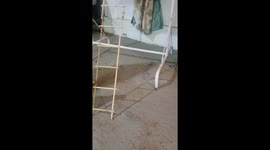 Parrot climbing homemade latter