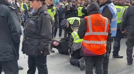 Drag queen children event: Police arrest demonstrator outside Honor Oak Pub, London