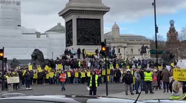 Protesters descend on London's Trafalgar Square to oppose ULEZ