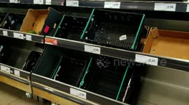 No vegetable crisis here? Empty shelves in supermarket. Housewife can only buy a cucumber. Filmed in Fulham London about 3pm Saturday 26th February