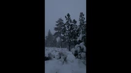 Storm brings snow to the mountains of Southern California