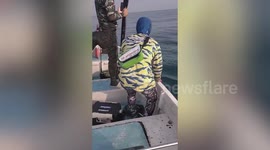 Exhausted deer struggling to stay afloat in sea rescued by passing boat