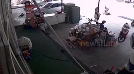 Monitor lizard rampages through supermarket in Thailand