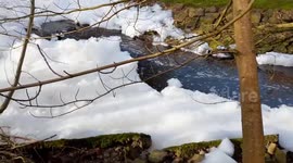 Dead fish spotted in UK river covered in FOAM, leaving locals concerned about ecological impact