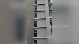 Stranded cat miraculously survives leaping off 16th floor of building