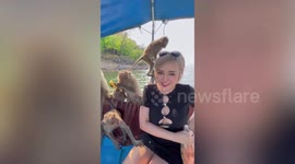 Monkey 'pirates' raid passing boat climbing all over young woman