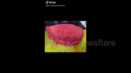 Londoner creates hyper-realistic mouldy bread, raw chicken and slugs out of cake