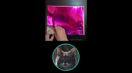 ASMR foil peel of JoyousJoyfulJoyness' custom handmade portrait drawing of Casper the adorable cat