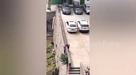 Heroic children prevent girl from falling over wall by holding her tightly until adults come to rescue