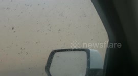 US: Blowing Dust Reduces Visibility In Texas, New Mexico 6