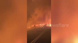 Massive wildfire sweeps through forests in Chile