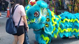 Playful Chinese Lion teasing kid at a lion dance event in Malaysia