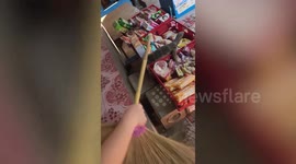 Monitor lizard climbs over food displays outside shop in Thailand