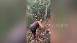 Search launched for missing New Zealand tourist in Thailand