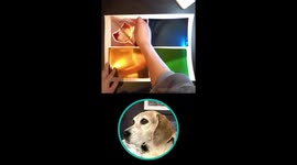 ASMR foil peel of JoyousJoyfulJoyness' Andy Warhol-Style pop art portrait of a Beagle named Zoe