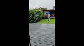 British bulldog spoilt with umbrella