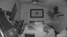 French bulldog dramatically gets kicked out of bed in middle of night