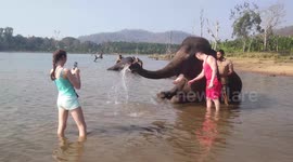 International tourists pose with elephants & take photos in Sakarebailu Elephant Camp, Shimogga, Karnataka India.