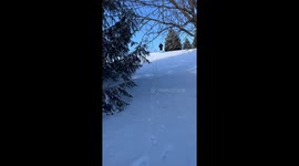 Glenview dad's sled ride comes to a screeching halt after he bangs into his car
