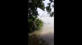 Best Hook fishing   Village  Boy Catching Fish With a Hook in a Village in India