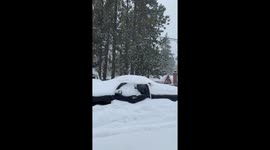 Snow Storm Covers San Bernardino Mountains, California