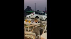 Hungry cat eating at Mcdonalds