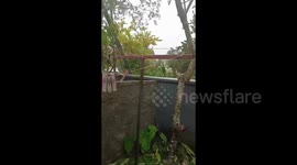 Vanuatu: Tropical Cyclone Judy Lashes Islands With Hurricane-Force Winds 4