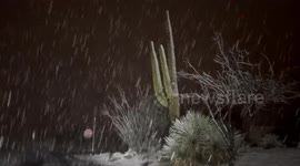Rare snow falls in North Scottsdale as a cold winter storm moves through Arizona.