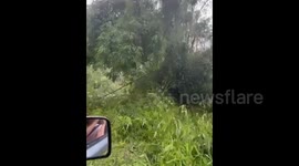 Aftermath of tropical cyclone Judy in Vanuatu