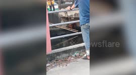 Locals use bamboo stepladder to save stray dog stuck under canal