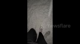 US: Another Winter Storm Brings Snow To Central And Southern Arizona