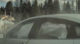 Accident: Tesla Crashes With Another Vehicle at an Intersection
