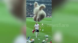 Football fans shower pitch with teddy bears for Turkey earthquake child survivors