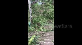 Vanuatu: Aftermath Of Tropical Cyclone Judy 2