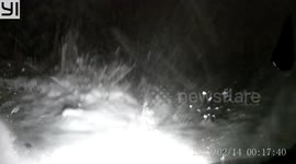 Accident: Car Spins Out of Control Into a Forest Due to Icy Road