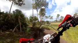 Crash: Dirt-Bike Rider Accidently Collides with a Tree