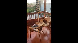 Guardian of the Rooftops: Watch This Cat Hero Keep Watch of the city as Batman!