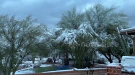 US: Snow Covers Arizona’s Desert And Mountains