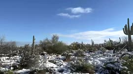 Winter storm brings rare snowfall to Arizona desert, US