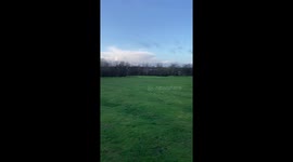 Golden Retriever amazing recall! 2 year old Golden Retriever ‘Dougie’ responds to owner from 50 metres.